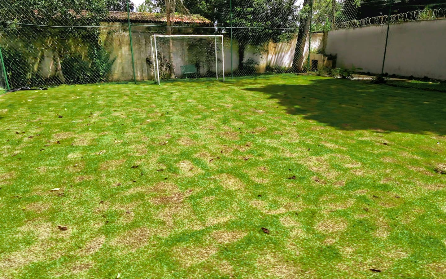 Campo de futebol gramado, com trave e cerca ao fundo